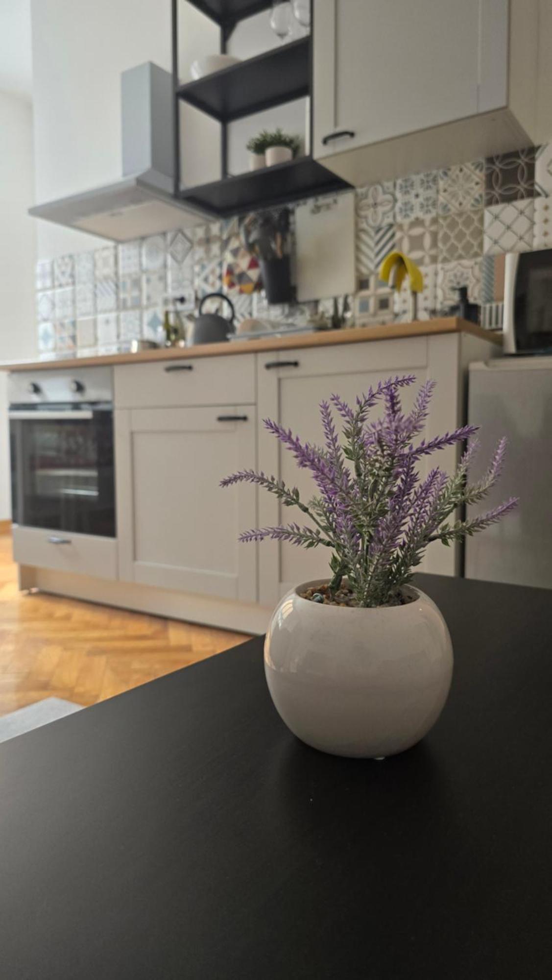 Apartment Major Belgrád Kültér fotó